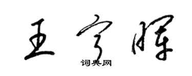 梁錦英王寧暉草書個性簽名怎么寫