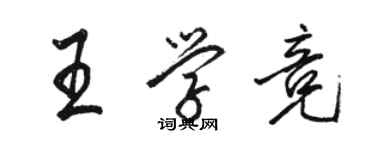 駱恆光王學競行書個性簽名怎么寫