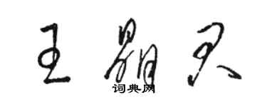 駱恆光王晶君草書個性簽名怎么寫