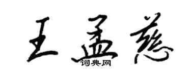王正良王孟慈行書個性簽名怎么寫