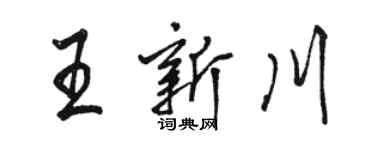 駱恆光王新川行書個性簽名怎么寫