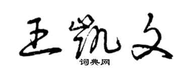 曾慶福王凱文草書個性簽名怎么寫