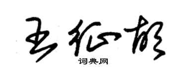 朱錫榮王征胡草書個性簽名怎么寫