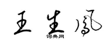 梁錦英王生鳳草書個性簽名怎么寫
