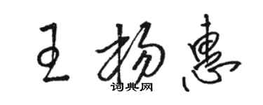 駱恆光王楊惠草書個性簽名怎么寫