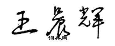 曾慶福王晨輝草書個性簽名怎么寫