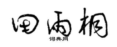 曾慶福田雨桐草書個性簽名怎么寫