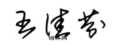 朱錫榮王佳芬草書個性簽名怎么寫