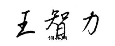 王正良王智力行書個性簽名怎么寫