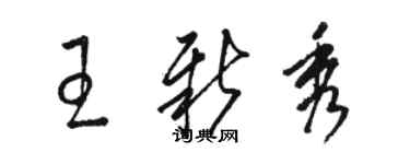 駱恆光王新秀草書個性簽名怎么寫