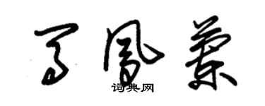 朱錫榮馬鳳蘭草書個性簽名怎么寫