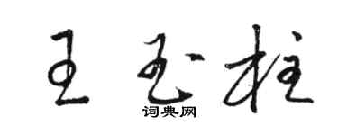 駱恆光王玉柱草書個性簽名怎么寫