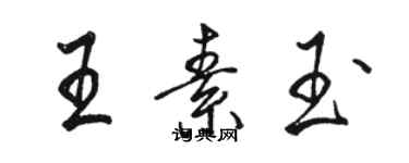 駱恆光王素玉行書個性簽名怎么寫
