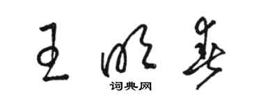 駱恆光王明春草書個性簽名怎么寫