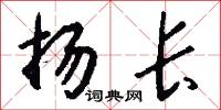 揚長怎么寫好看