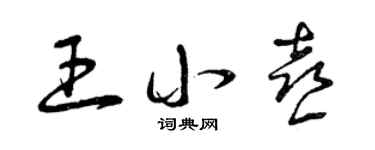 曾慶福王小喜草書個性簽名怎么寫