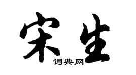 胡問遂宋生行書個性簽名怎么寫