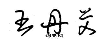 朱錫榮王丹艾草書個性簽名怎么寫