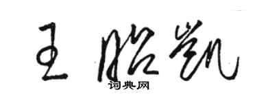 駱恆光王昭凱草書個性簽名怎么寫