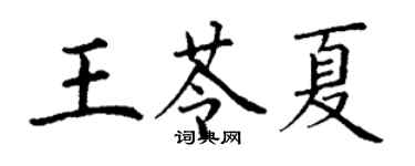 丁謙王苓夏楷書個性簽名怎么寫