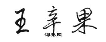 駱恆光王辛果行書個性簽名怎么寫