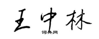 王正良王中林行書個性簽名怎么寫