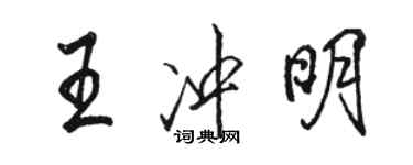 駱恆光王沖明行書個性簽名怎么寫