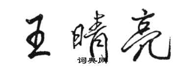 駱恆光王晴亮行書個性簽名怎么寫