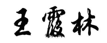 胡問遂王霞林行書個性簽名怎么寫