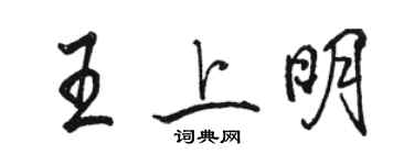 駱恆光王上明行書個性簽名怎么寫