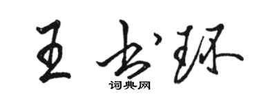 駱恆光王書環行書個性簽名怎么寫
