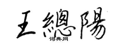 王正良王總陽行書個性簽名怎么寫