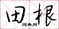 田根怎么寫好看