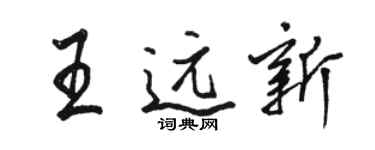 駱恆光王遠新行書個性簽名怎么寫