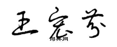 曾慶福王宏芬草書個性簽名怎么寫