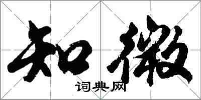 胡問遂知微行書怎么寫