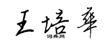 王正良王培華行書個性簽名怎么寫