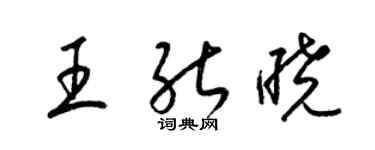 梁錦英王能曉草書個性簽名怎么寫