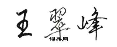 駱恆光王翠峰行書個性簽名怎么寫