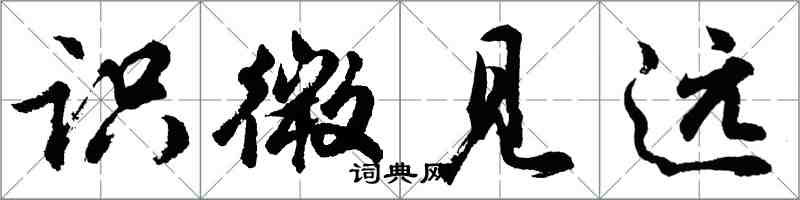 胡問遂識微見遠行書怎么寫