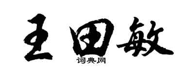 胡問遂王田敏行書個性簽名怎么寫