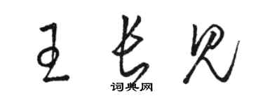 駱恆光王長見草書個性簽名怎么寫