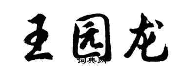 胡問遂王園龍行書個性簽名怎么寫