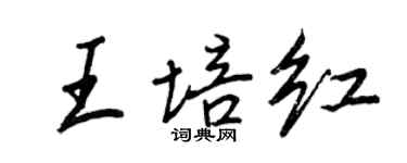 王正良王培紅行書個性簽名怎么寫