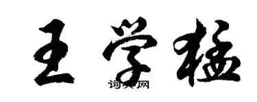 胡問遂王學猛行書個性簽名怎么寫