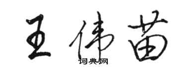 駱恆光王偉苗行書個性簽名怎么寫