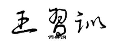 曾慶福王習訓草書個性簽名怎么寫