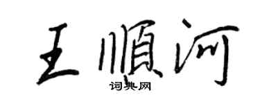 王正良王順河行書個性簽名怎么寫