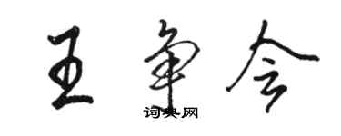 駱恆光王爭會行書個性簽名怎么寫