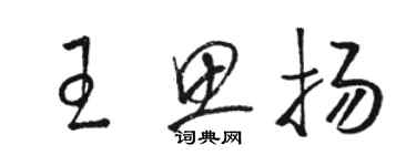 駱恆光王思揚草書個性簽名怎么寫